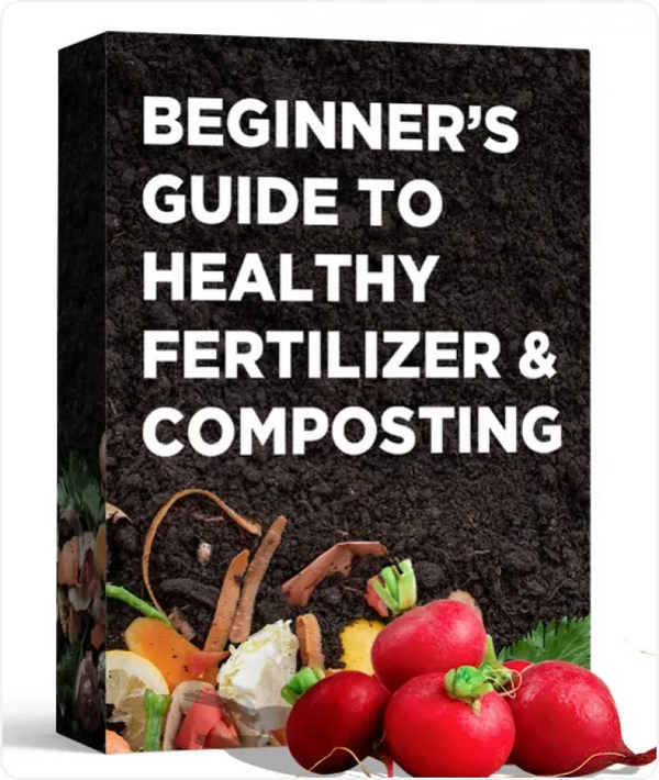 Beginner’s Guide to Healthy Fertilizer and Composting