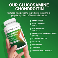 Doctor Berg UK Glucosamine Chondroitin Advanced Joint Support with MSM, 120 Vegetable Capsules