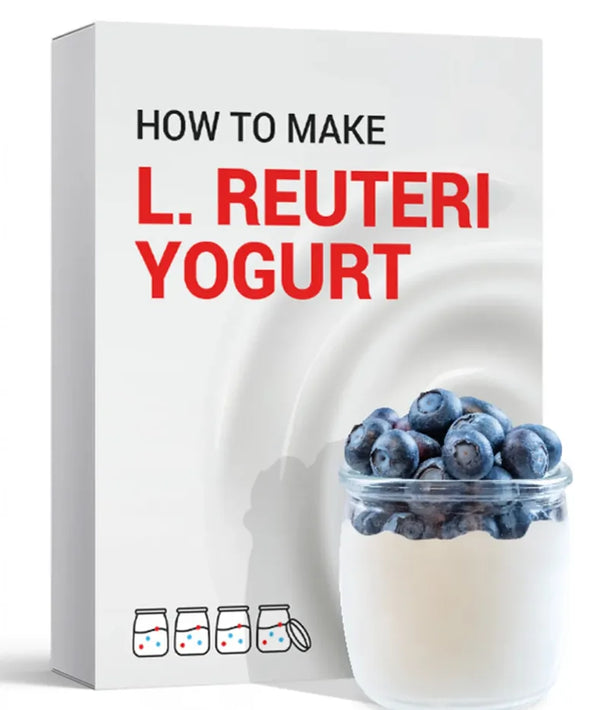 How to Make L. Reuteri Yogurt